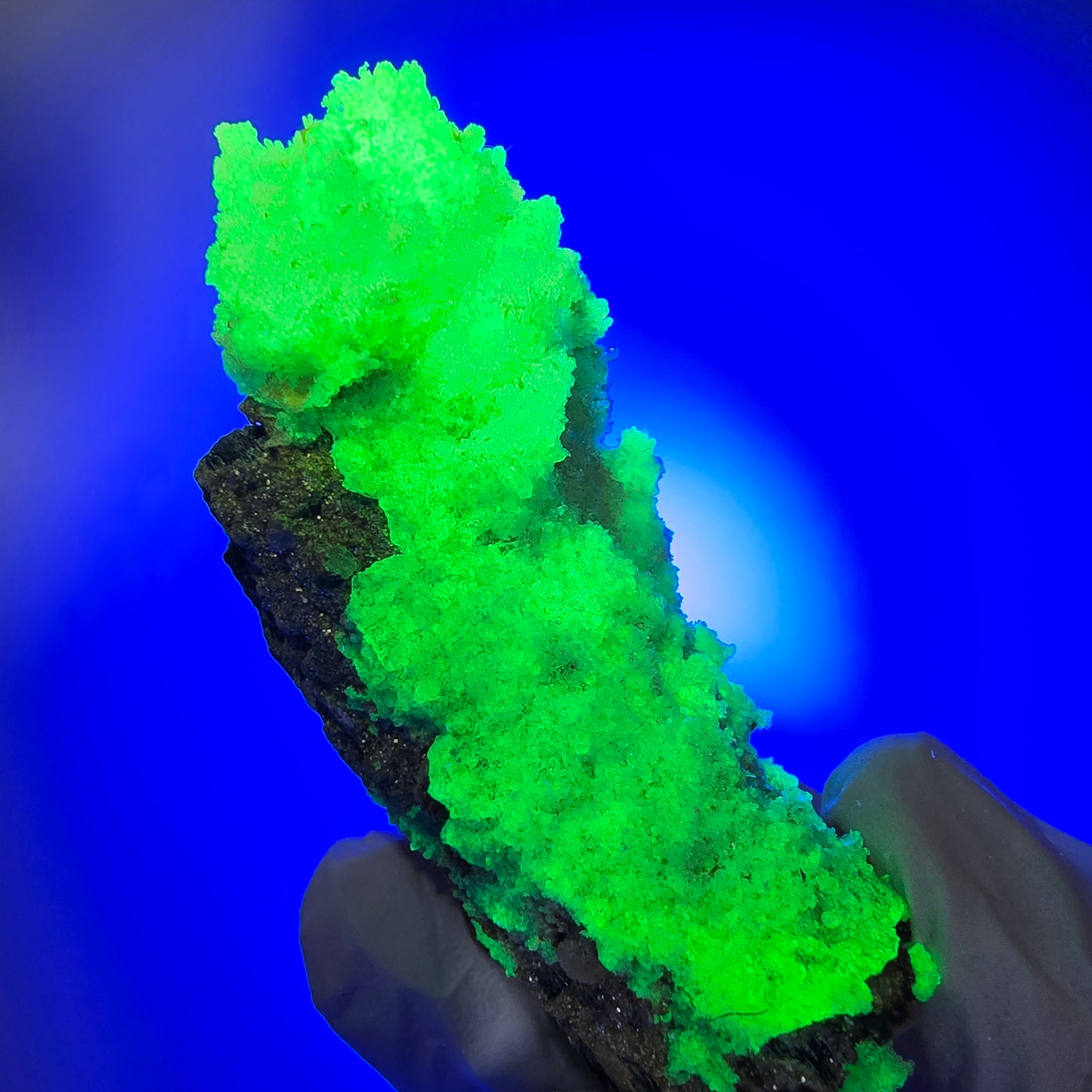 Seltene Schörl Turmalin, Hyalit Opal, Muskovit Stufe Erongo, Namibia 65*33*26mm #12492