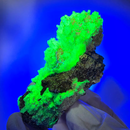 Seltene Schörl Turmalin, Hyalit Opal, Muskovit Stufe Erongo, Namibia 65*33*26mm #12492