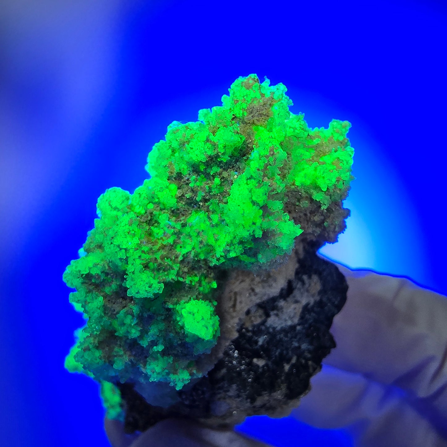 Seltene Schörl Turmalin, Hyalit Opal, Muskovit Stufe Erongo, Namibia 65*33*26mm #12492