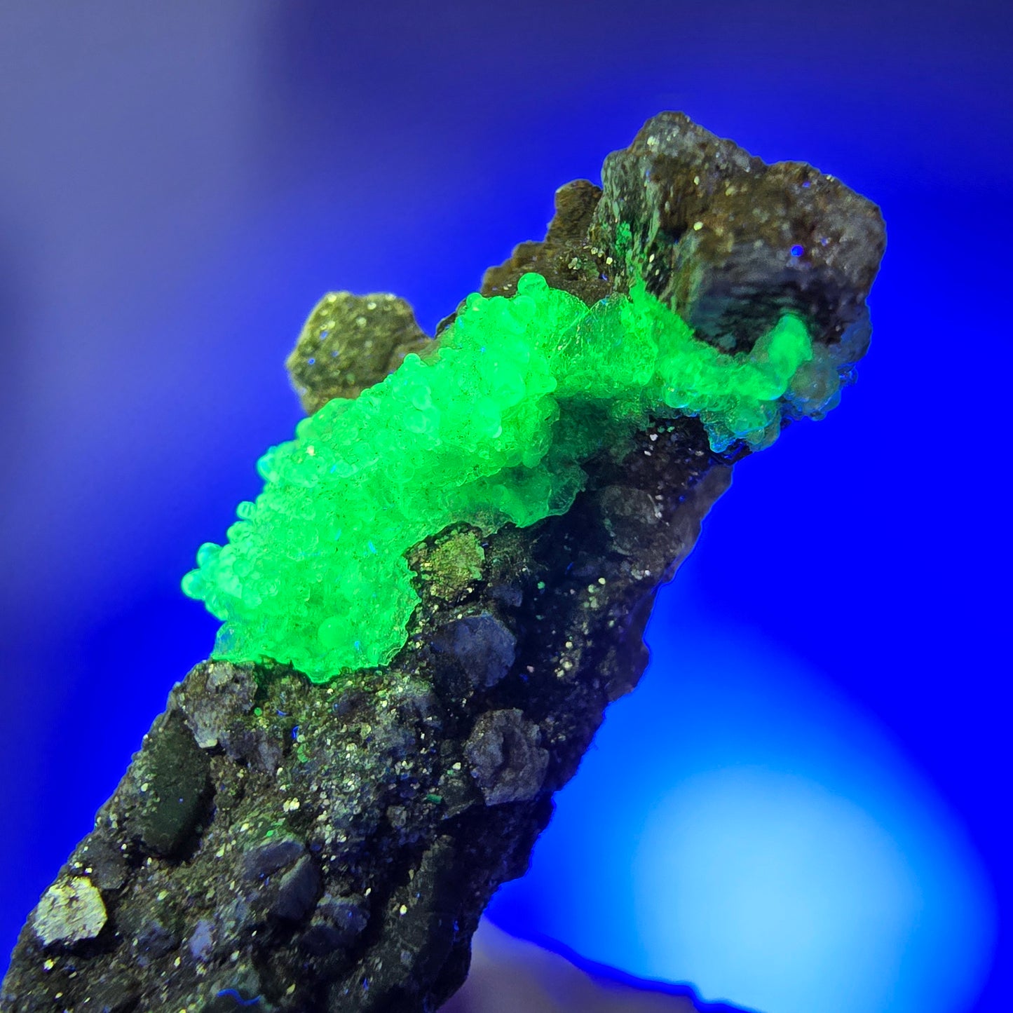 Seltene Schörl Turmalin, Hyalit Opal, Muskovit Stufe Erongo, Namibia 39*23*17mm #12496