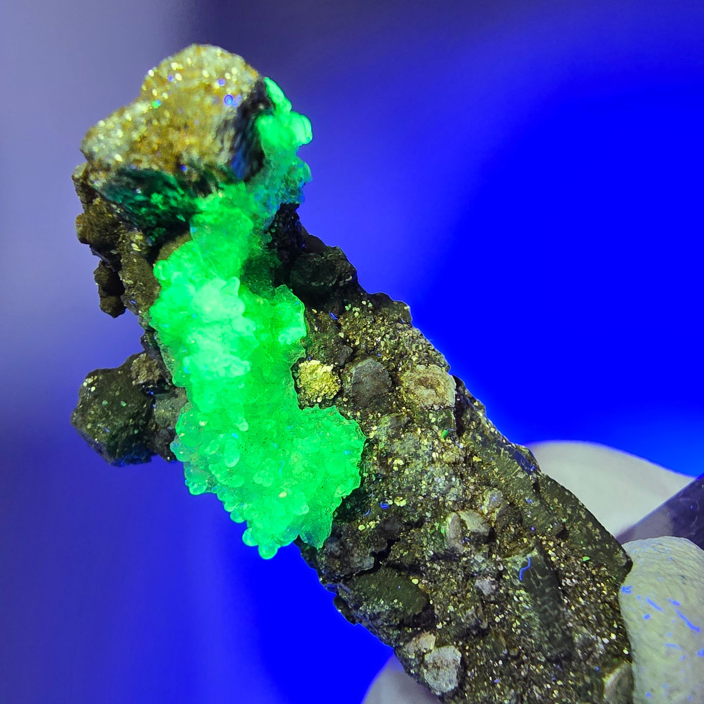 Seltene Schörl Turmalin, Hyalit Opal, Muskovit Stufe Erongo, Namibia 39*23*17mm #12496
