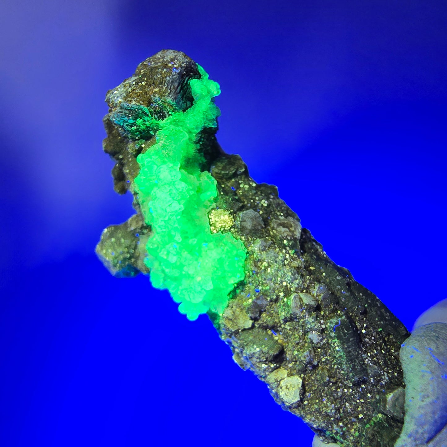 Seltene Schörl Turmalin, Hyalit Opal, Muskovit Stufe Erongo, Namibia 39*23*17mm #12496