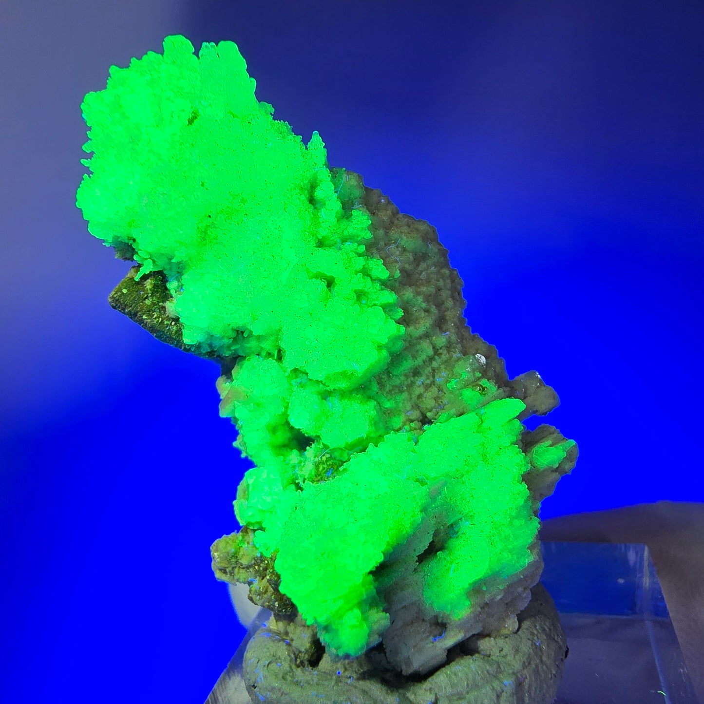 Seltene Hyalit Opal, Muskovit, Orthoklas Stufe Erongo, Namibia 39*24*22mm #12498
