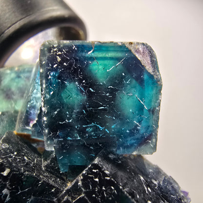 Phantom Fluorite Cube Specimen, blue Butterfly Pocket, Okorusu, Namibia 46*40*18mm #12504