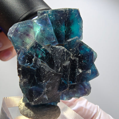 Phantom Fluorite Cube Specimen, blue Butterfly Pocket, Okorusu, Namibia 46*40*18mm #12504
