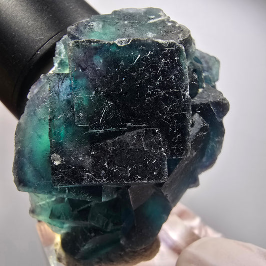 Phantom Fluorit Würfel Stufe, blau Butterfly Pocket, Okorusu, Namibia 49*41*23mm #12505