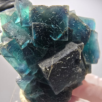 Phantom Fluorit Würfel Stufe, blau Butterfly Pocket, Okorusu, Namibia 48*46*20mm #12506