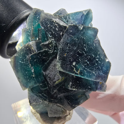 Phantom Fluorit Würfel Stufe, blau Butterfly Pocket, Okorusu, Namibia 48*46*20mm #12506