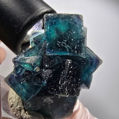 Spécimen de cubes de fluorite fantôme, bleu Butterfly Pocket, Okorusu, Namibie 51*36*30mm #12507