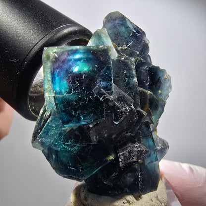 Spécimen de cubes de fluorite fantôme, poche de papillon bleue, Okorusu, Namibie 50*37*24mm #12508