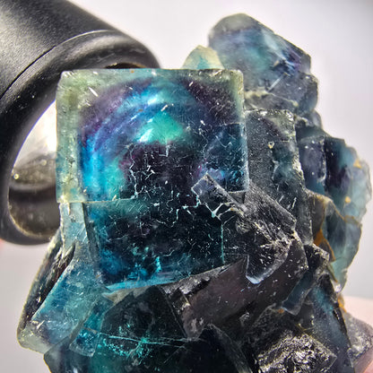 Spécimen de cubes de fluorite fantôme, poche de papillon bleue, Okorusu, Namibie 50*37*24mm #12508