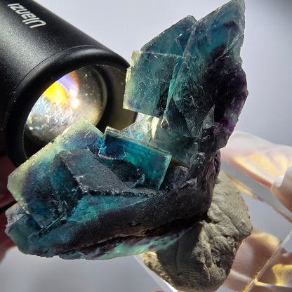 Spécimen de cubes de fluorine fantôme, Pocket Papillon bleu, Okorusu, Namibie 46*39*19mm #12509