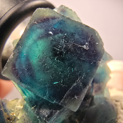 Spécimen de cubes de fluorine fantôme, Pocket Papillon bleu, Okorusu, Namibie 46*39*19mm #12509