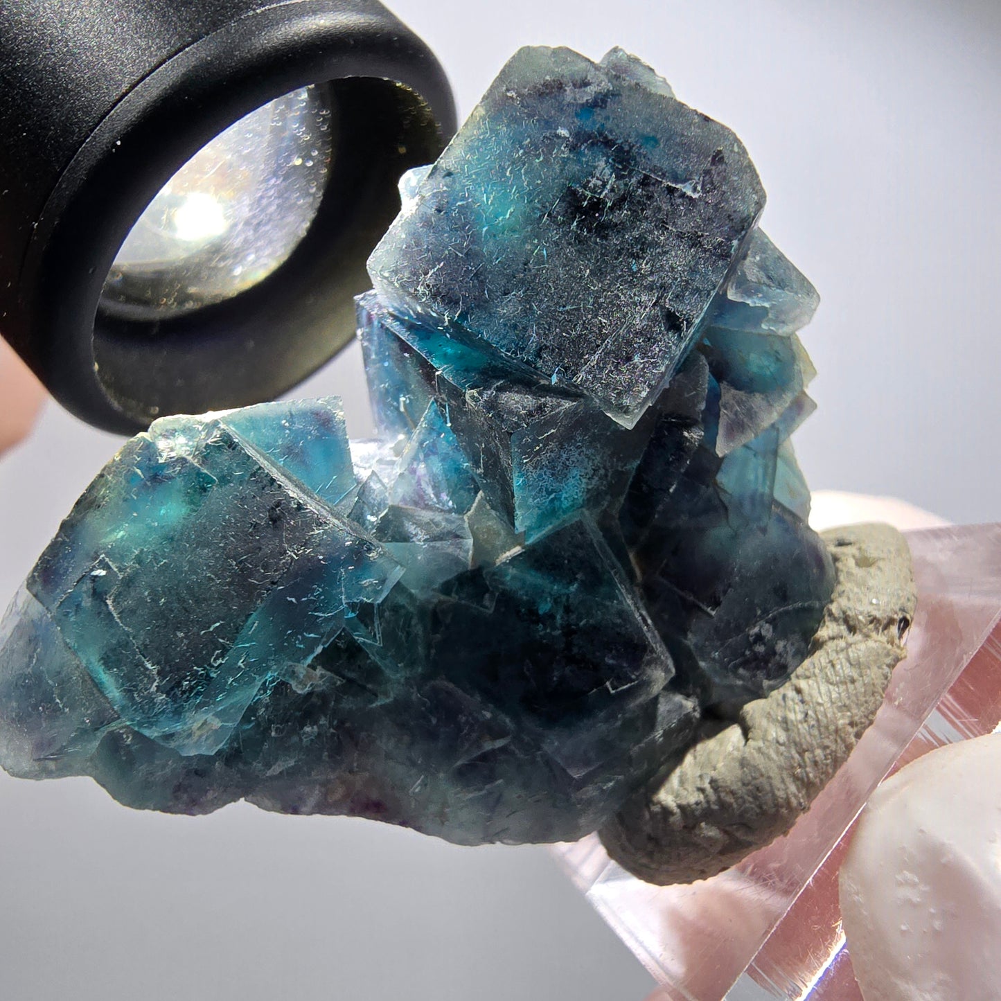 Spécimen de cubes de fluorine fantôme, Pocket Papillon bleu, Okorusu, Namibie 46*39*19mm #12509