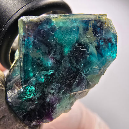 Phantom Fluorit Würfel Stufe, blau Butterfly Pocket, Okorusu, Namibia 34*27*19mm #12512