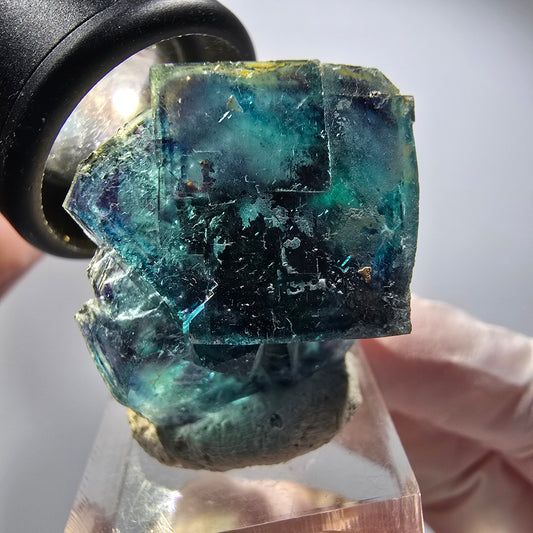 Phantom Fluorit Würfel Stufe, blau Butterfly Pocket, Okorusu, Namibia 34*27*19mm #12512