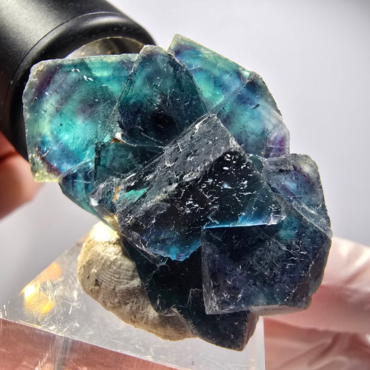 Phantom Fluorit Würfel Stufe, blau Butterfly Pocket, Okorusu, Namibia 41*27*20mm #12515