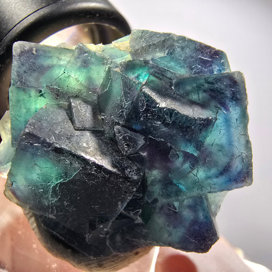 Phantom Fluorit Würfel Stufe, blau Butterfly Pocket, Okorusu, Namibia 32*28*13mm #12516