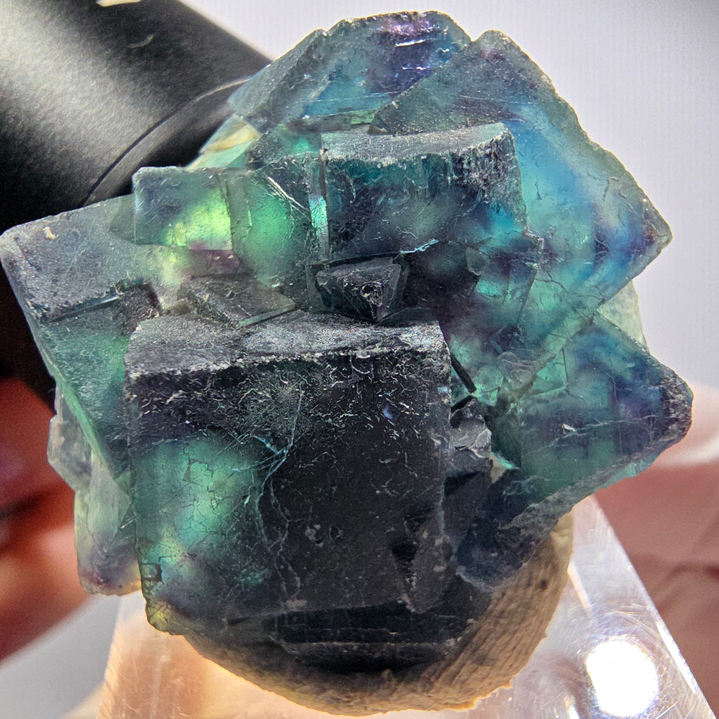 Phantom Fluorit Würfel Stufe, blau Butterfly Pocket, Okorusu, Namibia 32*28*13mm #12516