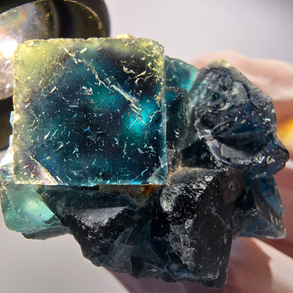 Phantom Fluorite Crystal Cluster, blue Butterfly Pocket, Okorusu, Namibia 41*33*22mm #12517