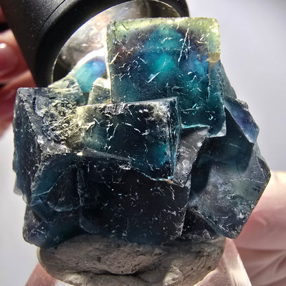 Phantom Fluorite Crystal Cluster, blue Butterfly Pocket, Okorusu, Namibia 41*33*22mm #12517