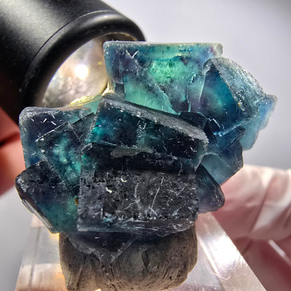 Phantom Fluorite cube specimen, blue Butterfly Pocket, Okorusu, Namibia 36*27*19mm #12521