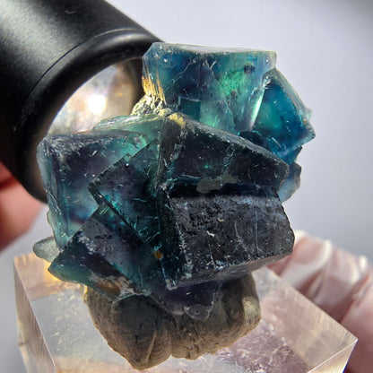 Phantom Fluorite cube specimen, blue Butterfly Pocket, Okorusu, Namibia 36*27*19mm #12521