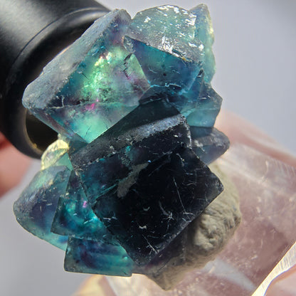 Phantom Fluorite cube specimen, blue Butterfly Pocket, Okorusu, Namibia 36*27*19mm #12521
