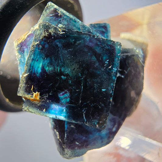 Phantom Fluorit Würfel Stufe, blau Butterfly Pocket, Okorusu, Namibia 23*21*15mm #12522