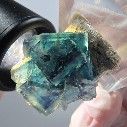 Spécimen de cubes de fluorine fantôme, bleu Butterfly Pocket, Okorusu, Namibie 20*19*13mm #12523