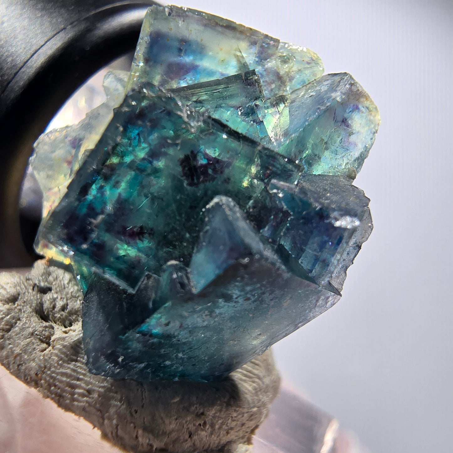 Spécimen de cubes de fluorine fantôme, bleu Butterfly Pocket, Okorusu, Namibie 20*19*13mm #12523