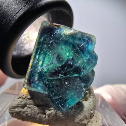 Cube de Fluorite fantôme sur matrice, bleu Butterfly Pocket, Okorusu, Namibie 16*14*13mm #12524