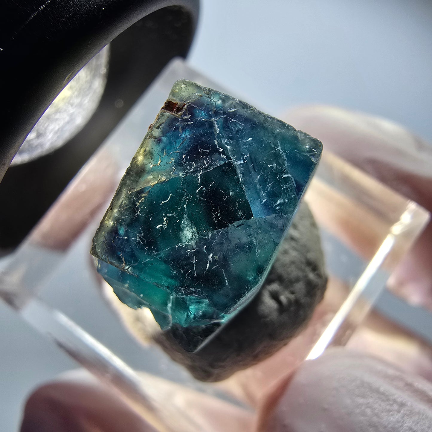 Cube de Fluorite fantôme sur matrice, bleu Butterfly Pocket, Okorusu, Namibie 16*14*13mm #12524