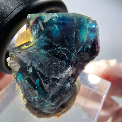 Phantom Fluorit Würfel Stufe, blau Butterfly Pocket, Okorusu, Namibia 26*22*21mm #12526