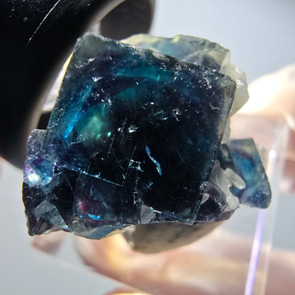 Phantom Fluorit Würfel Stufe, blau Butterfly Pocket, Okorusu, Namibia 26*22*21mm #12526