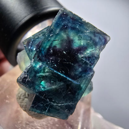 Fantôme Fluorite Cubes sur Matrice, bleu Butterfly Pocket, Okorusu, Namibie 21*19*13mm #12527