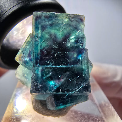 Fantôme Fluorite Cubes sur Matrice, bleu Butterfly Pocket, Okorusu, Namibie 21*19*13mm #12527