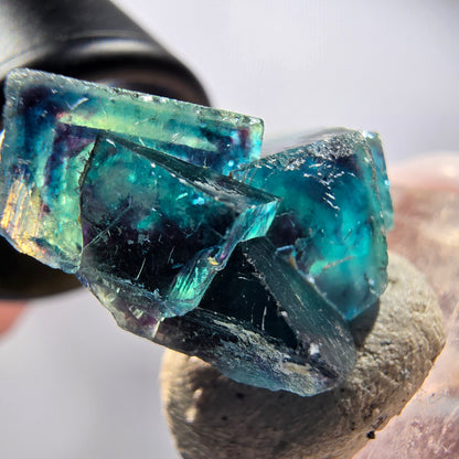 Fantôme Fluorite Cubes sur Matrice, bleu Butterfly Pocket, Okorusu, Namibie 21*19*13mm #12527