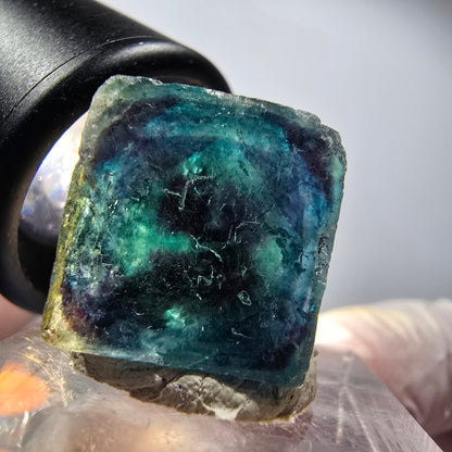 Phantom Fluorit Würfel Stufe, blau Butterfly Pocket, Okorusu, Namibia 23*23*14mm #12536