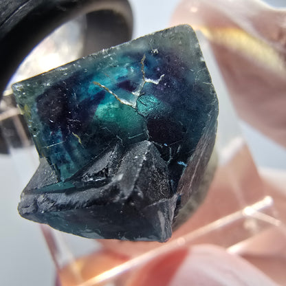Fluorite fantôme en cube sur matrice, bleu, Butterfly Pocket, Okorusu, Namibie 19*15*14mm #12541