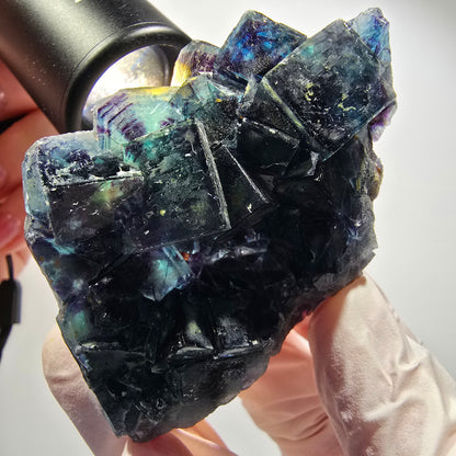 Spécimen de cubes de fluorine fantôme, poche papillon bleue, Okorusu, Namibie 69*55*21mm #12543