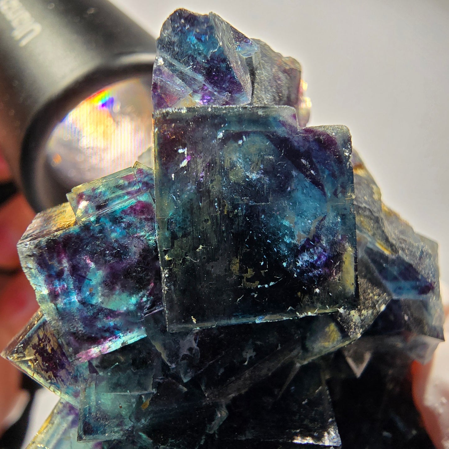 Spécimen de cubes de fluorine fantôme, poche papillon bleue, Okorusu, Namibie 69*55*21mm #12543