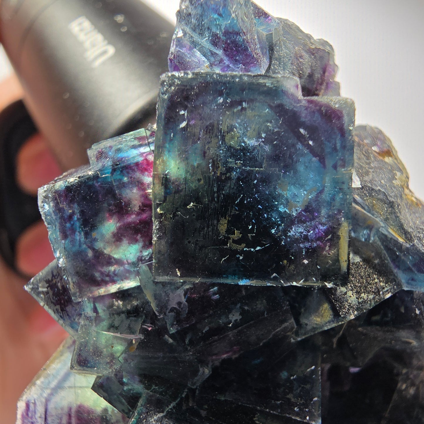 Spécimen de cubes de fluorine fantôme, poche papillon bleue, Okorusu, Namibie 69*55*21mm #12543