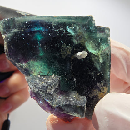 Phantom Fluorit Würfel Stufe, blau Butterfly Pocket, Okorusu, Namibia 52*44*31mm #12544
