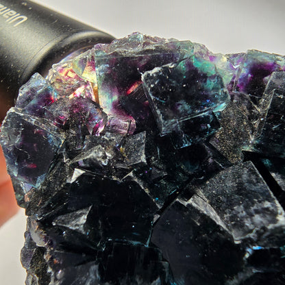 Fluorite fantôme claire, bleue Okorusu, Namibie 74*61*27mm #12545