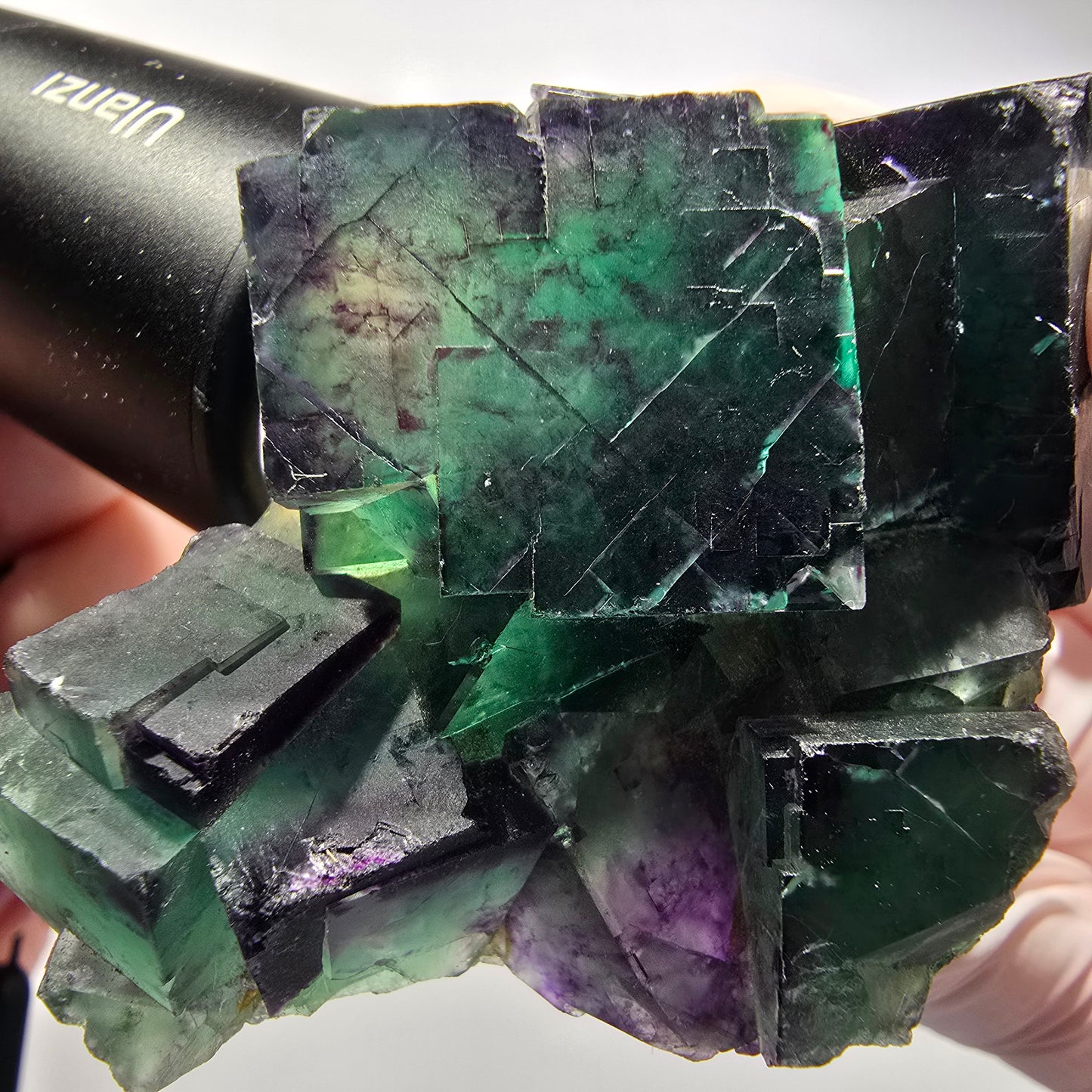 Cube de Fluorite fantôme sur matrice, vert violet, Okorusu, Namibie 70*42*32mm #12546