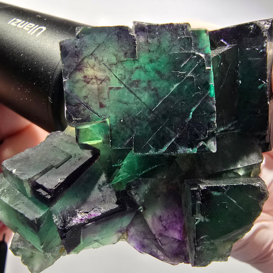 Phantom Fluorit Würfel Stufe, parkettiert grün lila Okorusu, Namibia 70*42*32mm #12546