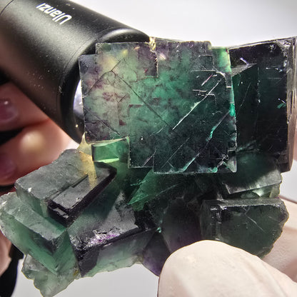 Cube de Fluorite fantôme sur matrice, vert violet, Okorusu, Namibie 70*42*32mm #12546