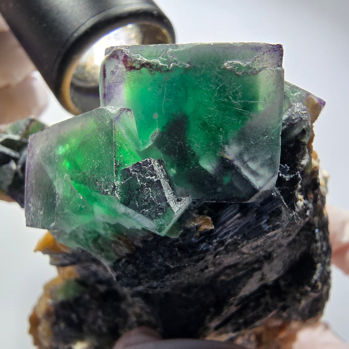 Fluorite XL Phantom, tourmaline schorl, quartz fumé muscovite sur matrice Erongo, Namibie 103*92*60mm #12554