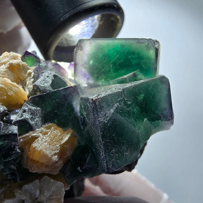 Fluorite XL Phantom, tourmaline schorl, quartz fumé muscovite sur matrice Erongo, Namibie 103*92*60mm #12554